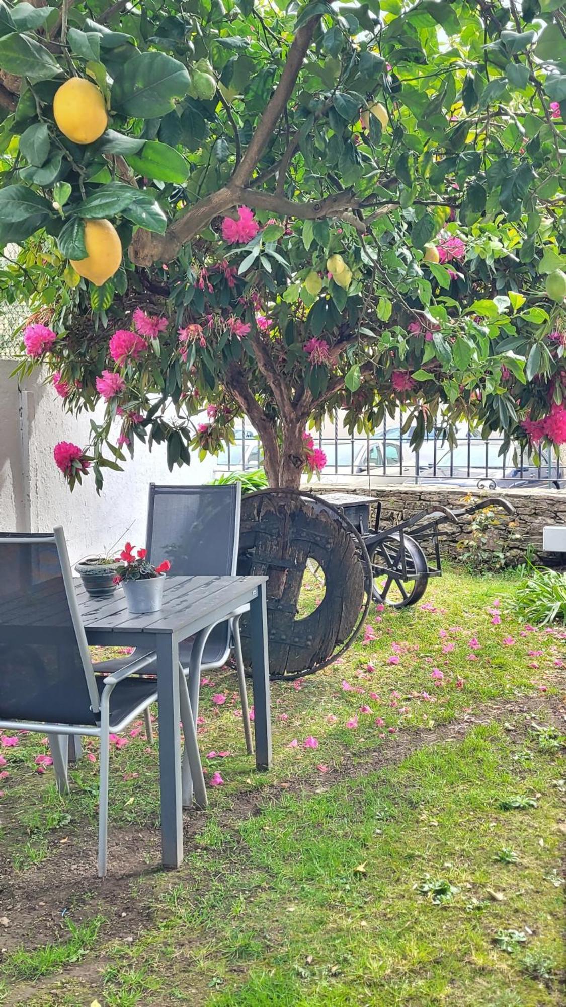Besbello Suites Apartamento Santiago de Compostela Eksteriør billede