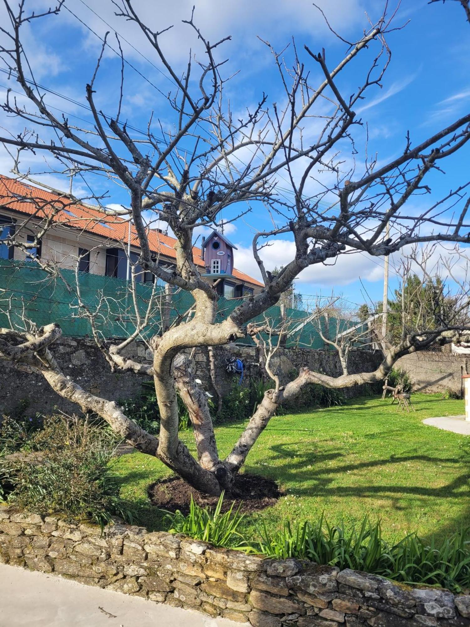 Besbello Suites Apartamento Santiago de Compostela Eksteriør billede