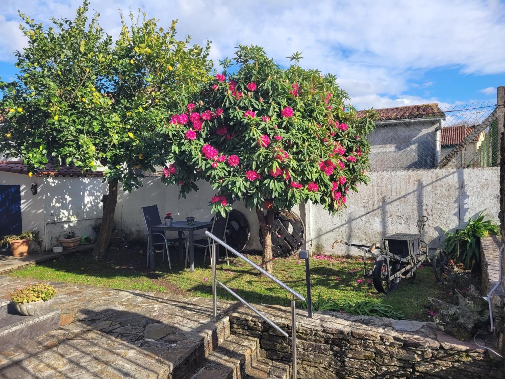 Besbello Suites Apartamento Santiago de Compostela Eksteriør billede